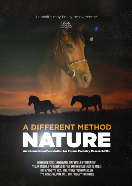 Poster for the B. Page documentary video titled A Different Method.