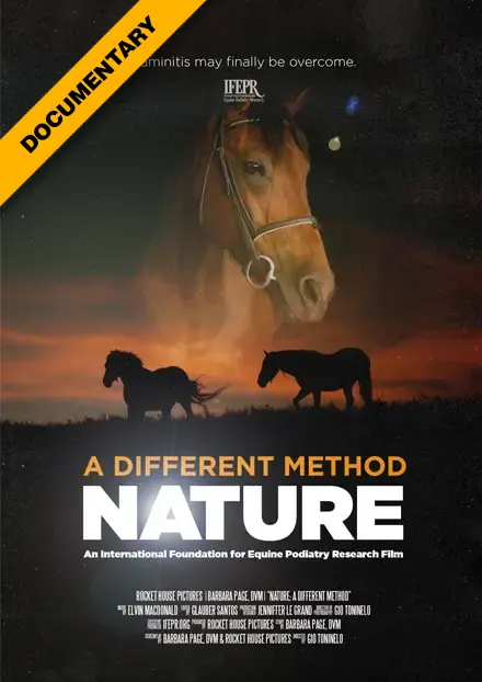 Poster for the documentary film titled A Different Method: NATURE.